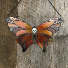 Load image into Gallery viewer, Death's-Head Monarch