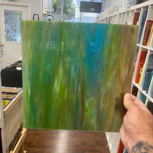 Load image into Gallery viewer, WO264 Iguana (NEW COLOR)