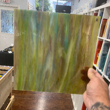 Load image into Gallery viewer, WO264 Iguana (NEW COLOR)