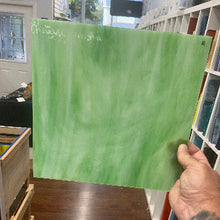 Load image into Gallery viewer, WO191 Apple (NEW COLOR)