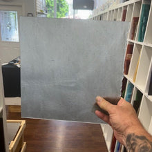 Load image into Gallery viewer, Stipple Glass (SP)