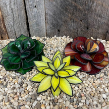 Load image into Gallery viewer, Spring Stained Glass Intensive - Succulent Project