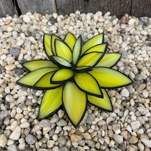 Load image into Gallery viewer, Spring Stained Glass Intensive - Succulent Project