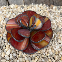 Load image into Gallery viewer, Spring Stained Glass Intensive - Succulent Project