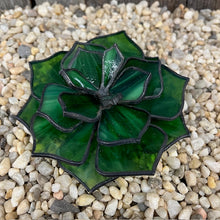 Load image into Gallery viewer, Spring Stained Glass Intensive - Succulent Project