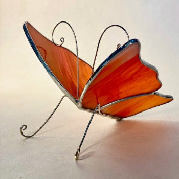 3D Butterfly Workshop