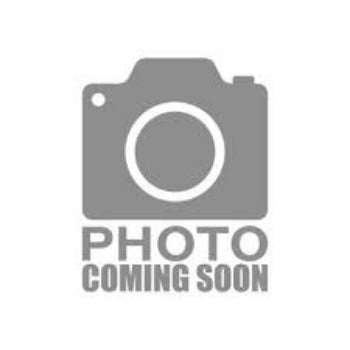 WO191 Apple (NEW COLOR)