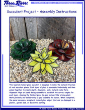 Load image into Gallery viewer, Spring Stained Glass Intensive - Succulent Project