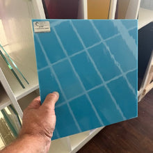 Load image into Gallery viewer, Oceanside Opalescent (FR)