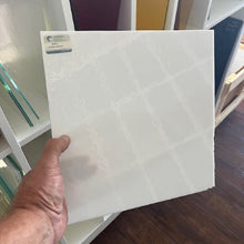 Load image into Gallery viewer, Oceanside Opalescent (FR)