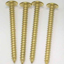 Load image into Gallery viewer, Brass Framing Screws/ Plugs